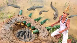 होशियार मछुआरा मछली जाल हिंदी कहानियां Hindi Kahaniya - Fish Trap Hindi Kahani - Majedar Kahaniya