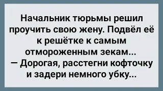 Начальник Тюрьмы Решил Проучить Свою Жену! Сборник Свежих Анекдотов! Юмор!