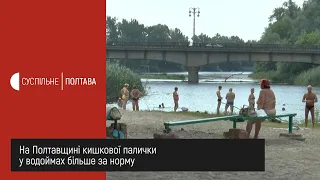 На Полтавщині кишкової палички у водоймах більше за норму