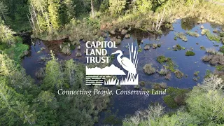 CLT Conservation in Green Cove Creek Basin: Ekar-Overhulse Preserve