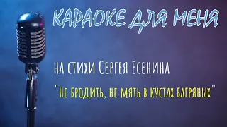 КАРАОКЕ - Не бродить, не мять в кустах багряных