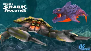 PYRO SHARK vs Giant CRAB in Hungry Shark Evolution