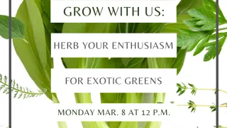 Grow with Us - Herb Your Enthusiasm for Exotic Greens