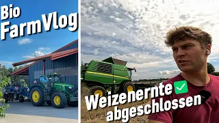 Die Großen im Einsatz❗️6250 R beim Stoppelsturz - T560i im Weizen - 6M am Kraut abschlagen / Vlog 39