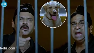 Namo Venkatesa Movie Best Comedy Scene Ever || Brahmanandam || @iDreamMediaGold