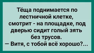 Теща и Зять без Трусов под Дверью! Сборник Свежих Анекдотов! Юмор!