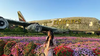 Miracle Garden Dubai | world’s largest natural flower garden | 2024