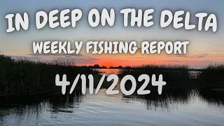 The In Deep On The Delta Report For 4/11/2024.