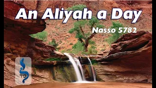 Nasso | Aliyah 5 | The Sotah