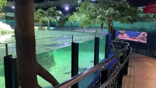 香港海洋公園鯊魚館第一層