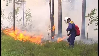 Общественники помогут в тушении лесных пожаров