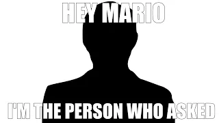Hey Mario, I'm The Person Who Asked
