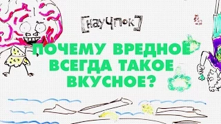 Почему вредное всегда такое вкусное?