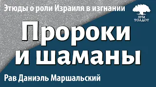 [10 часть] Пророки, шаманы и всё что между ними. Рав Даниэль Маршальский