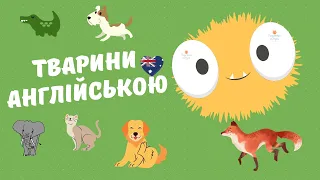 Тварини англійською мовою. Англійська мова для дітей. Animals video for children!