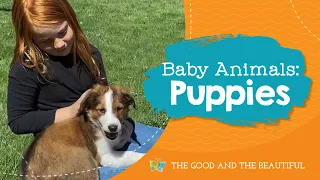 Baby Animals | Puppies | The Good and the Beautiful