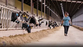 Wisconsin Life | Dairy Farm Life