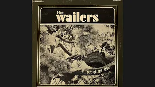 The Wailers "Summertime" Out of Our Tree 1965