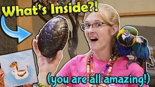 A Dinosaur Egg in our Mail?! (Fan Mail Part 13)