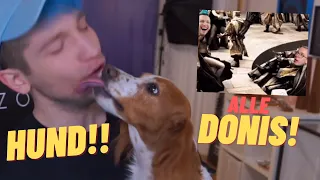 REZO zeigt ein HUND und ALLE DONIS!