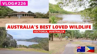 TOWER HILL IN VICTORIA, AUSTRALIA  🇦🇺  + DORMANT VOLCANO + WALKING TOUR + 4K + #InDaynaMo