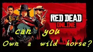 Red Dead Online - Catch, Tame and Own a Wild Horse?