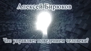 Алексей Бирюков - Что управляет поведением человека?