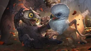 What They Don't Tell You About Owlbears - D&D