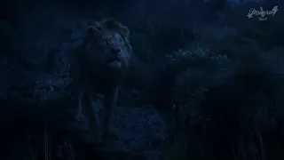 Spoiler! O Rei Leão 2019(BR)- Simba reencontra seu pai nas nuvens