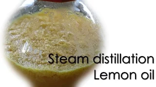 Steam distillation - Lemon essential oil 🍋