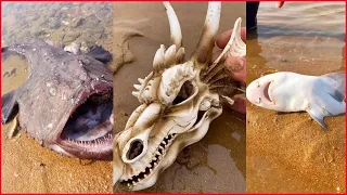 wOw Catching Seafood's 🦐🦀 Deep Sea Creatures (Catch Crab, Catch Fish) - Tik Tok #96
