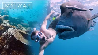 The magic of the Great Barrier Reef | My Way