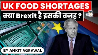 UK Food Shortages 2021 - Is UK facing a truck driver shortage due to BREXIT? Global Economy for UPSC