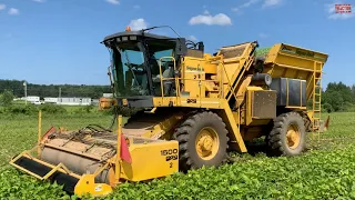 OXBO Green Bean Harvester