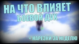 НА ЧТО ВЛИЯЕТ БОЕВОЙ ДУХ в Perfect World