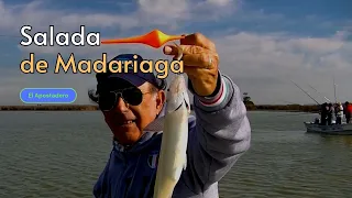 Salada de Madariaga. Pesquero Chiozza