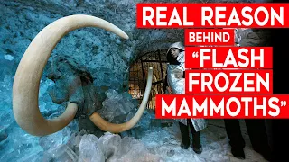 The Reason behind “Flash Frozen Mammoths”: Pole Flip, Younger Dryas, or Something Unthought of?