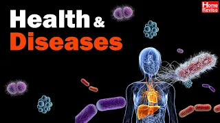 Health and Diseases | Class 8 | Health | Science | Maharashtra Board | Home Revise