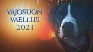 Vajosuon Vaellus 2021