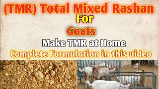 TMR For Goats | TMR Formulation | TMR Kaise Banaye