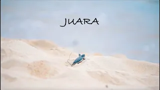 JUARA: A Sea Turtle Conservation Documentary