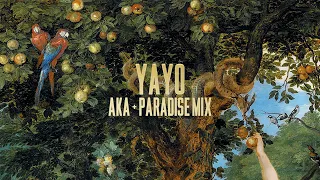 Lana Del Rey - Yayo (AKA + Paradise Mix)