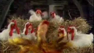 The Muppet Chickens sing Baby Face