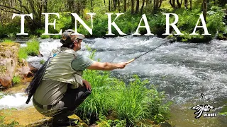 Primeras nociones de Tenkara tradicional.Tenkara Fly Fishing. Spain.