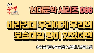 [수선국어 현대문학 시리즈 066] 현대시  바라건대는 우리에게 우리의 보습대일 땅이 있었더면 한번에 정리하기 (김소월)