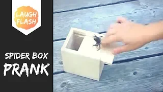 🕷️ Scary Spider Box Prank Compilation 🕷️