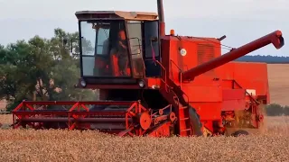 Żniwa 2022 🚜 Bizon Z056  🚜 Ryk silnika 🚜 Polska Wieś