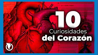 10 CURIOSIDADES SOBRE EL CORAZON