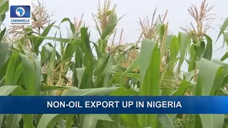 Non-Oil Export Up In Nigeria, Kenya Fuel Crisis To End In 72 Hours + More | Business Incorporated