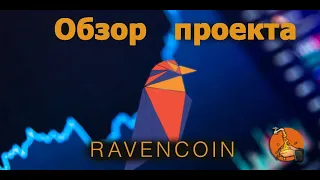 Ravencoin /rvn Обзор проекта